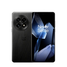 OnePlus 13 12/256Gb Dual nanoSim Черный Global