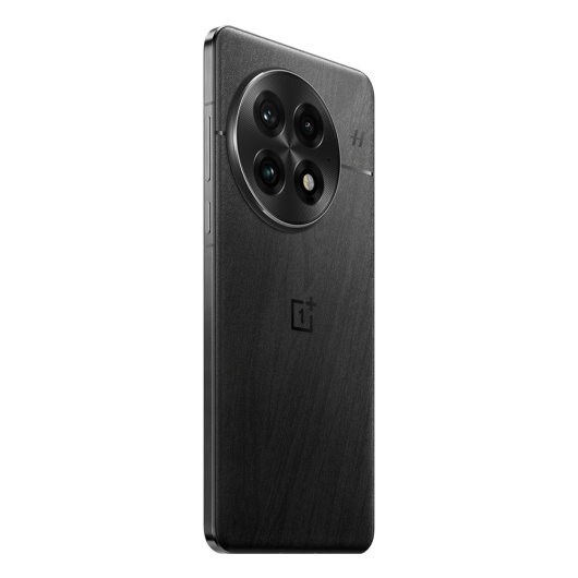 OnePlus 13 24/1Tb Dual nano Sim Черный IND