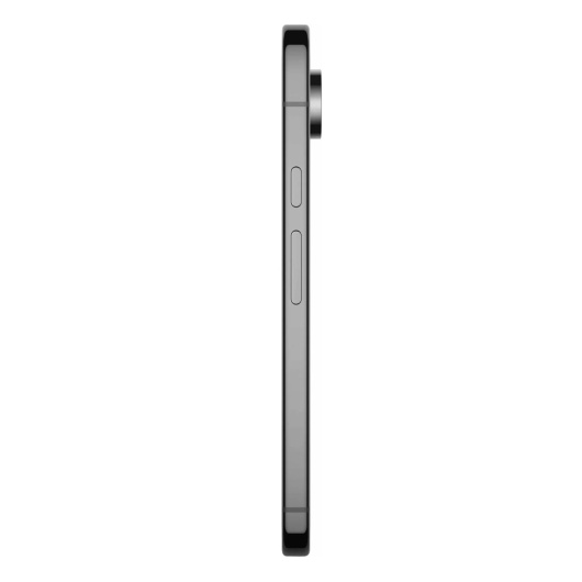 Google Pixel 9 Pro XL 16/128Gb Черный (JP)